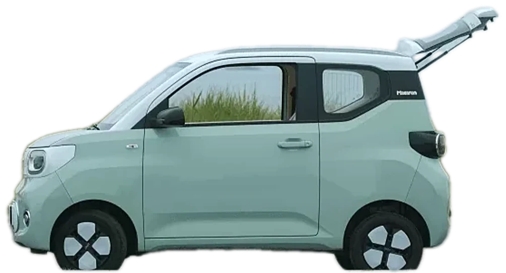 GV01 in profile